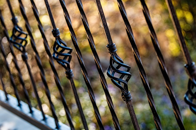 Adgangskontrol til erhverv i praksis